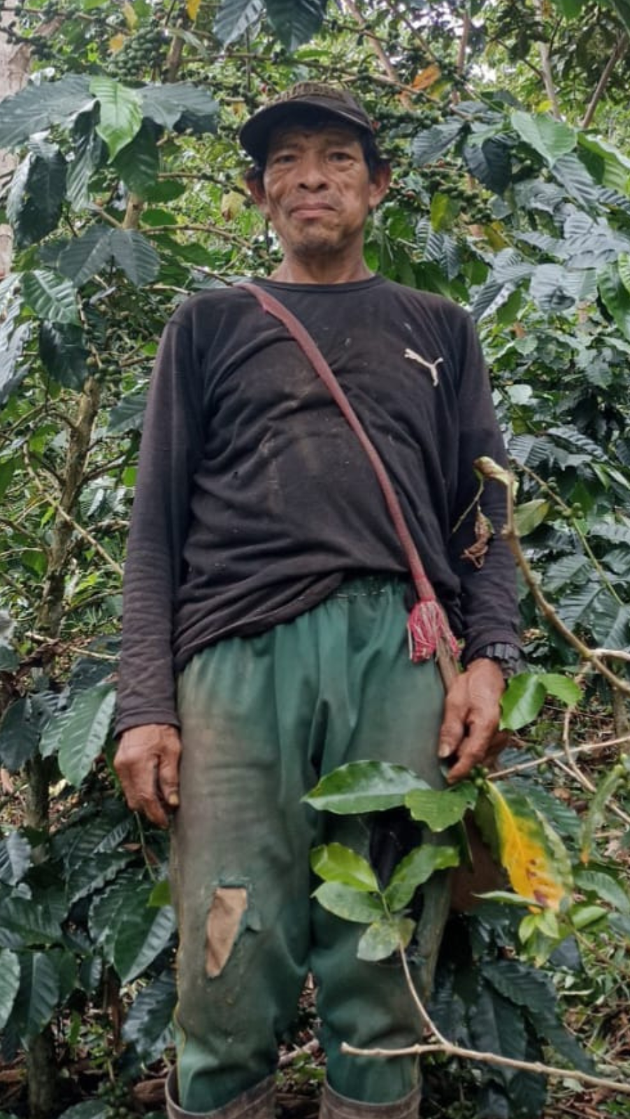 Andrés Piori